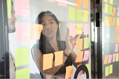 Delivering a Successful Action Plan - available until 31 March 2026