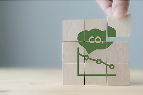 Net Zero 2 - Pathways -  13 March 2024