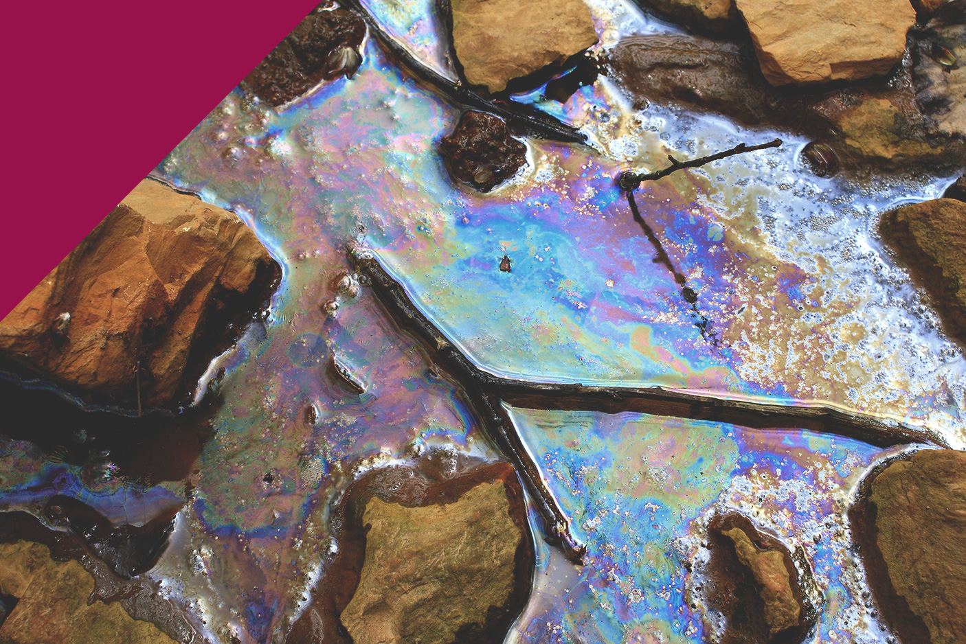 Essentials of CLM 1 - Introduction to Contaminated Land Management - 3 February to 31 March 2025