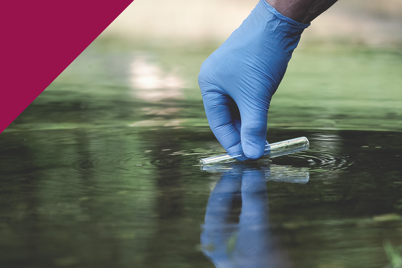 Essentials of CLM 2 - Site Investigation - 2 June to 31 August 2025